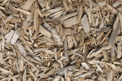 biomass boilers Rhosesmor